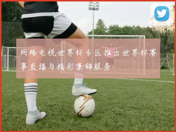 网络电视世界杯专区推出世界杯赛事直播与精彩集锦服务