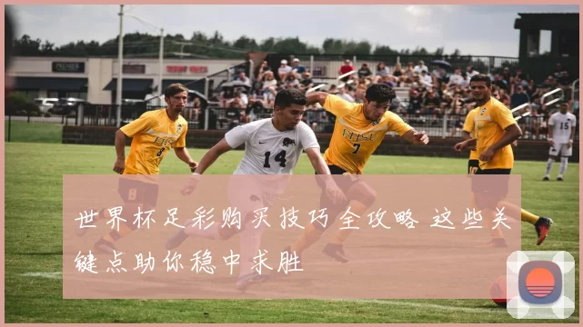 世界杯足彩购买技巧全攻略 这些关键点助你稳中求胜