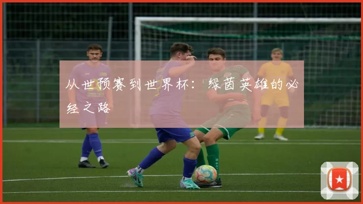 从世预赛到世界杯:绿茵英雄的必经之路