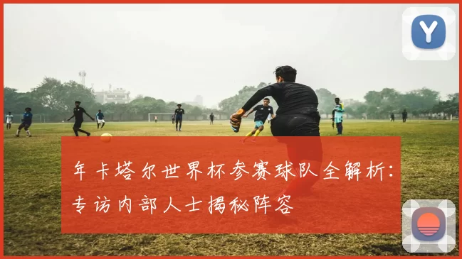 年卡塔尔世界杯参赛球队全解析：专访内部人士揭秘阵容