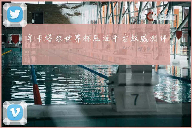 年卡塔尔世界杯压注平台权威测评