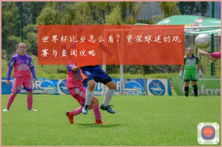 世界杯比分怎么看?资深球迷的观赛与查询攻略