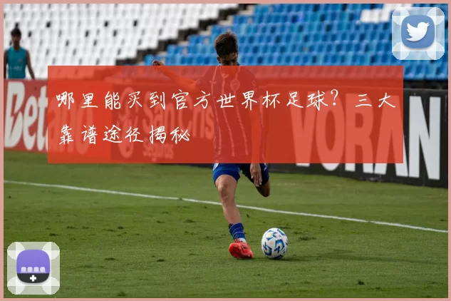 哪里能买到官方世界杯足球?三大靠谱途径揭秘