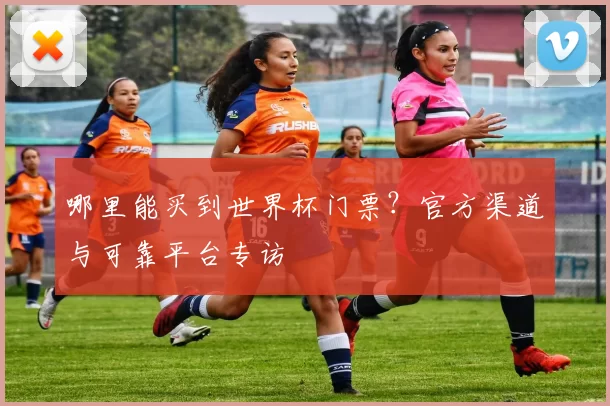 哪里能买到世界杯门票？官方渠道与可靠平台专访