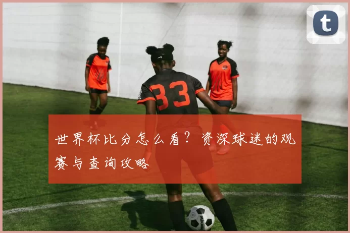 世界杯比分怎么看?资深球迷的观赛与查询攻略