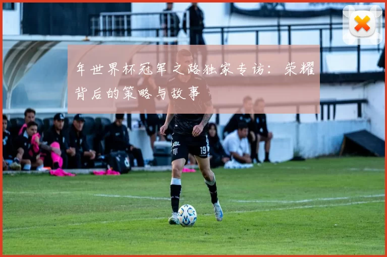 年世界杯冠军之路独家专访：荣耀背后的策略与故事