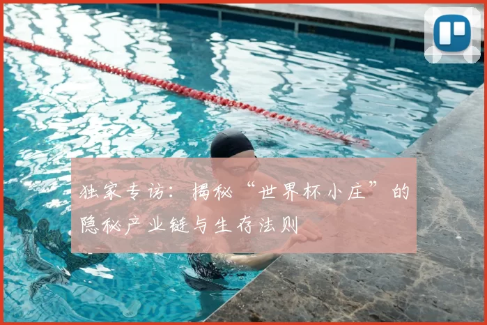 独家专访:揭秘“世界杯小庄”的隐秘产业链与生存法则