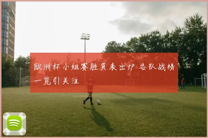 欧洲杯小组赛胜负表出炉 各队战绩一览引关注