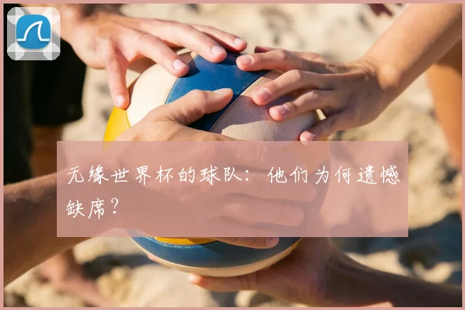 无缘世界杯的球队：他们为何遗憾缺席？