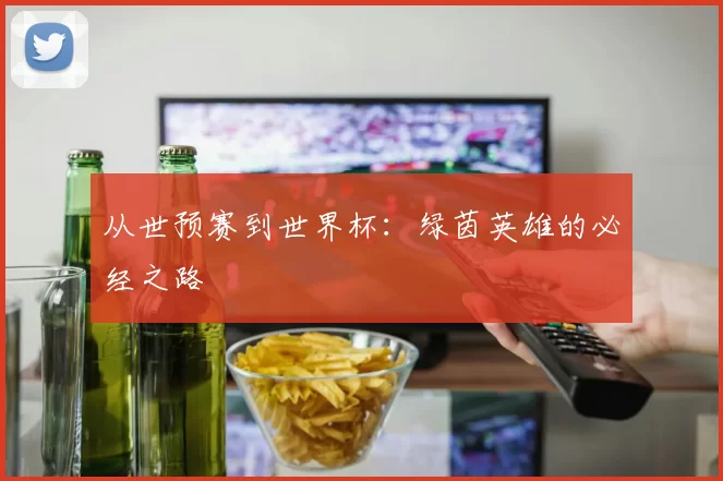 从世预赛到世界杯:绿茵英雄的必经之路