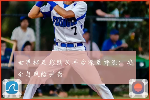 世界杯足彩购买平台深度评测:安全与风险并存