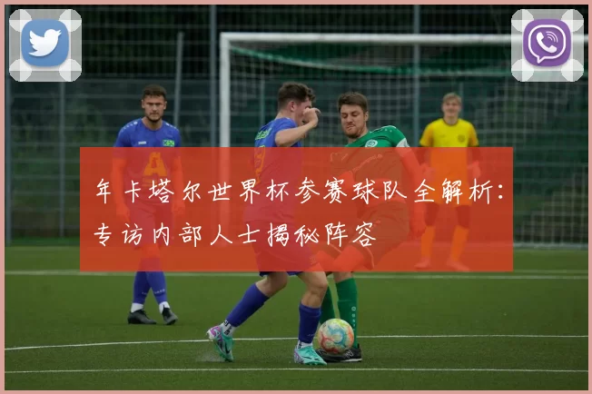 年卡塔尔世界杯参赛球队全解析：专访内部人士揭秘阵容