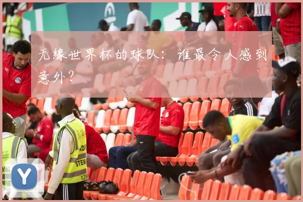 无缘世界杯的球队:谁最令人感到意外?