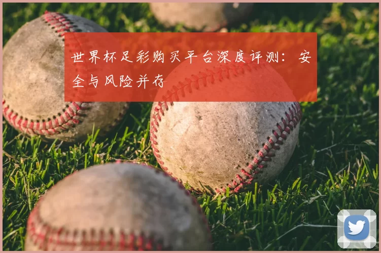 世界杯足彩购买平台深度评测:安全与风险并存
